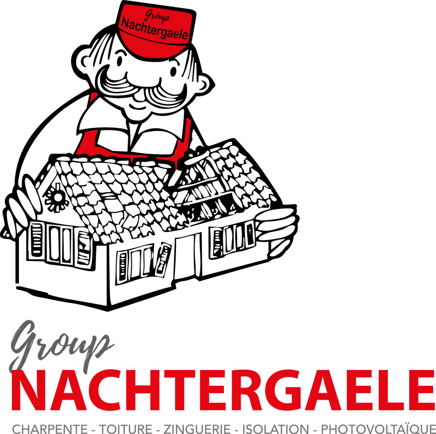 Logo group nachtergaele
